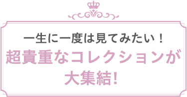 総額 約17億円※の輝き